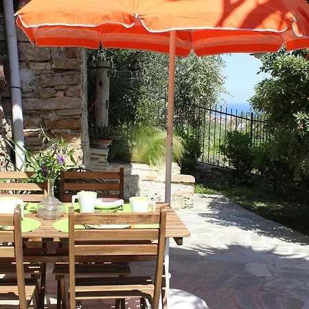 Casa Klaus, Olivenbaeume An Der Ligurischen Riviera Diano Marina
