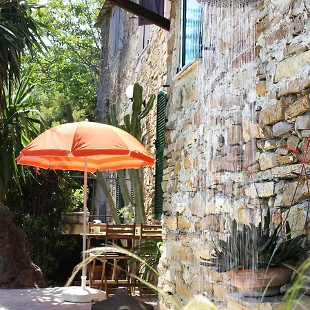Casa Klaus, Olivenbaeume An Der Ligurischen Riviera