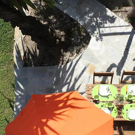 Casa Klaus, Olivenbaeume An Der Ligurischen Riviera *
