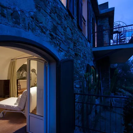 Casa Klaus, Olivenbaeume An Der Ligurischen Riviera